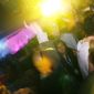 091020_-_Ministry_Of_Sound_Tue_20th_Oct_2009_442