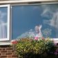 100724_-_Gravesend_Carnival_Sat_24th_Jul_2010_043