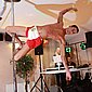 POLE_FITNESS_351
