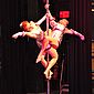 PSUK2011__00074