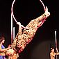 PSUK2011__00197