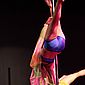 PSUK2011__00207
