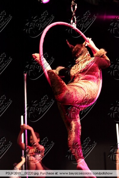 PSUK2011__00220