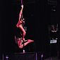 PSUK2011__00338
