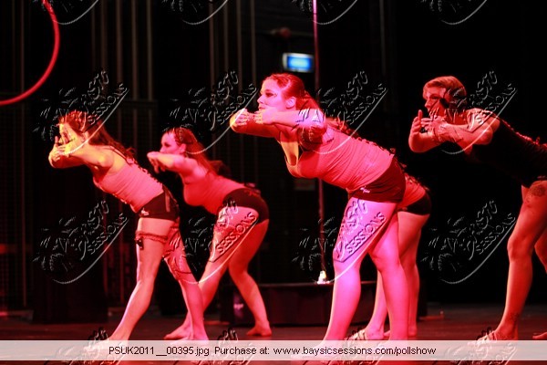 PSUK2011__00395