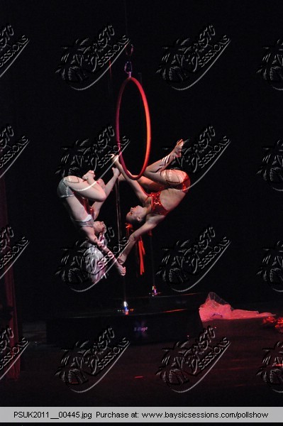 PSUK2011__00445