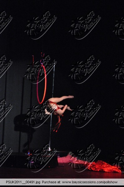 PSUK2011__00491