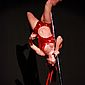 PSUK2011__00592