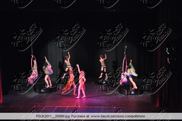 PSUK2011__00988