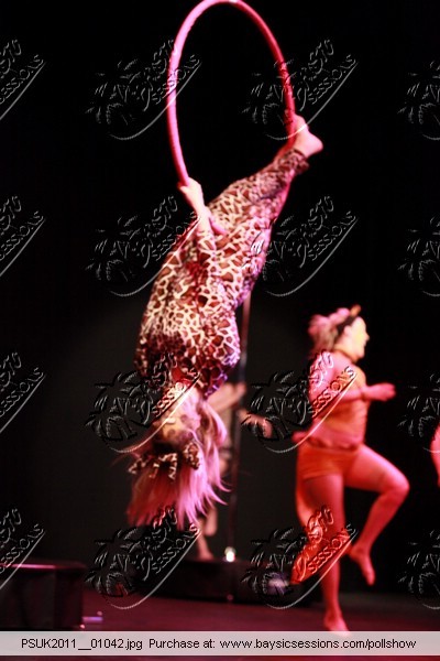 PSUK2011__01042