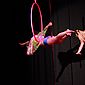 PSUK2011__01121