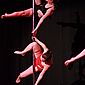 PSUK2011__01220
