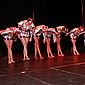 PSUK2011__01255
