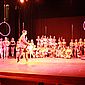 PSUK2011__01283